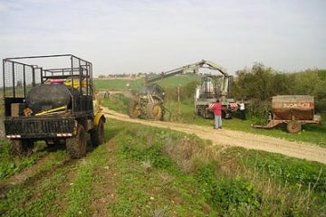 חילוצים